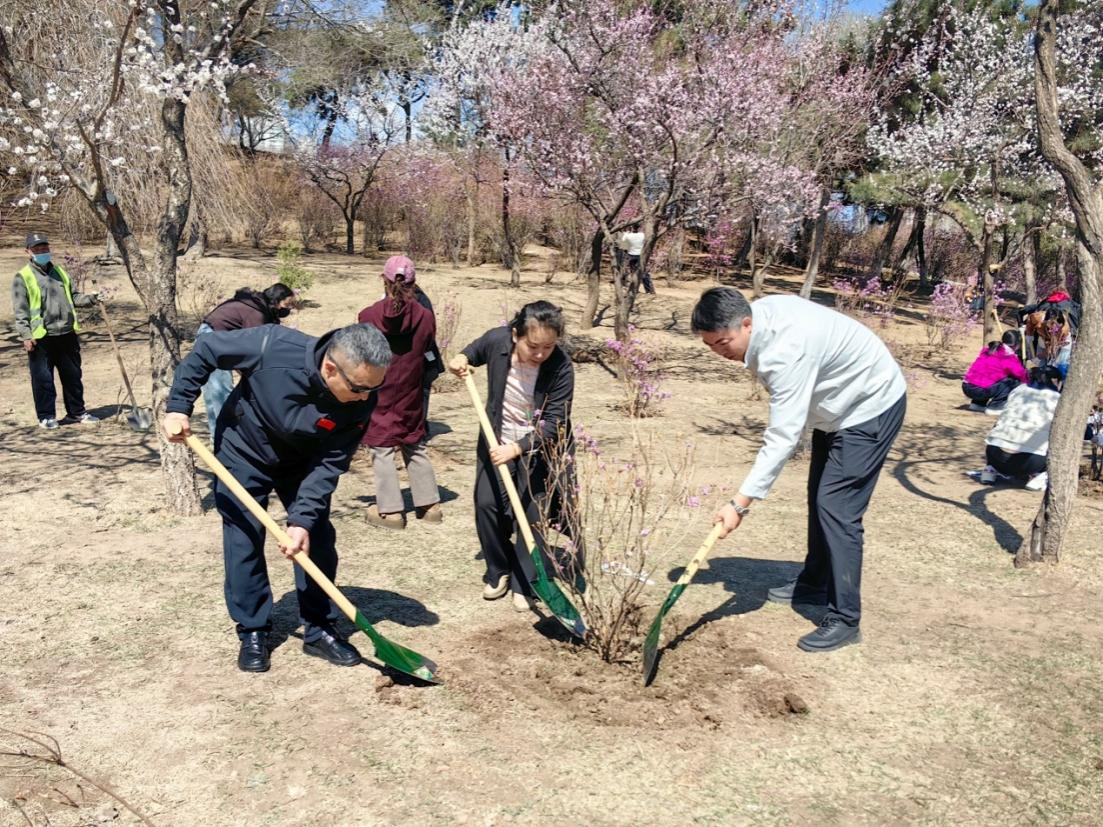 党建引领聚合力 植绿护健促发展——通识教育学院直属党支部开展党建共建主题党日活动