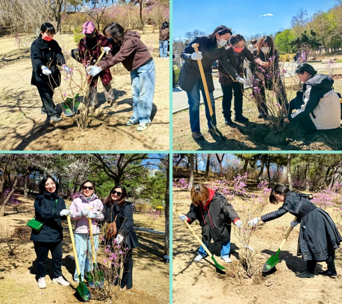 党建引领聚合力 植绿护健促发展——通识教育学院直属党支部开展党建共建主题党日活动